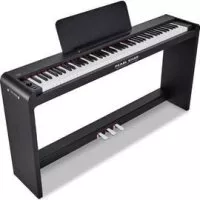Pearl River V03 BK+Bench