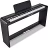 Pearl River V03 BK+Bench