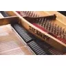 Steinway & Sons C-227