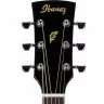 Ibanez PF15 (Black)
