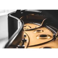 Steinway &amp; Sons D-274