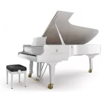 Steinway &amp; Sons D-274
