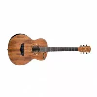 Washburn WCGM55K