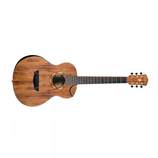 Washburn WCGM55K Washburn WCGM55K