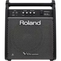 Roland PM100