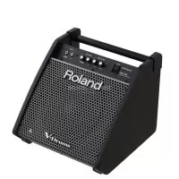 Roland PM100