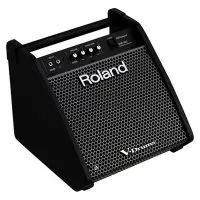 Roland PM100