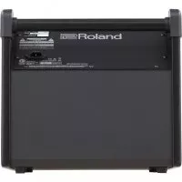 Roland PM100