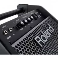 Roland PM100