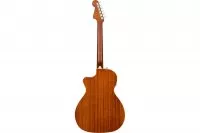 Fender NEWPORTER PLAYER WN SUNBURST