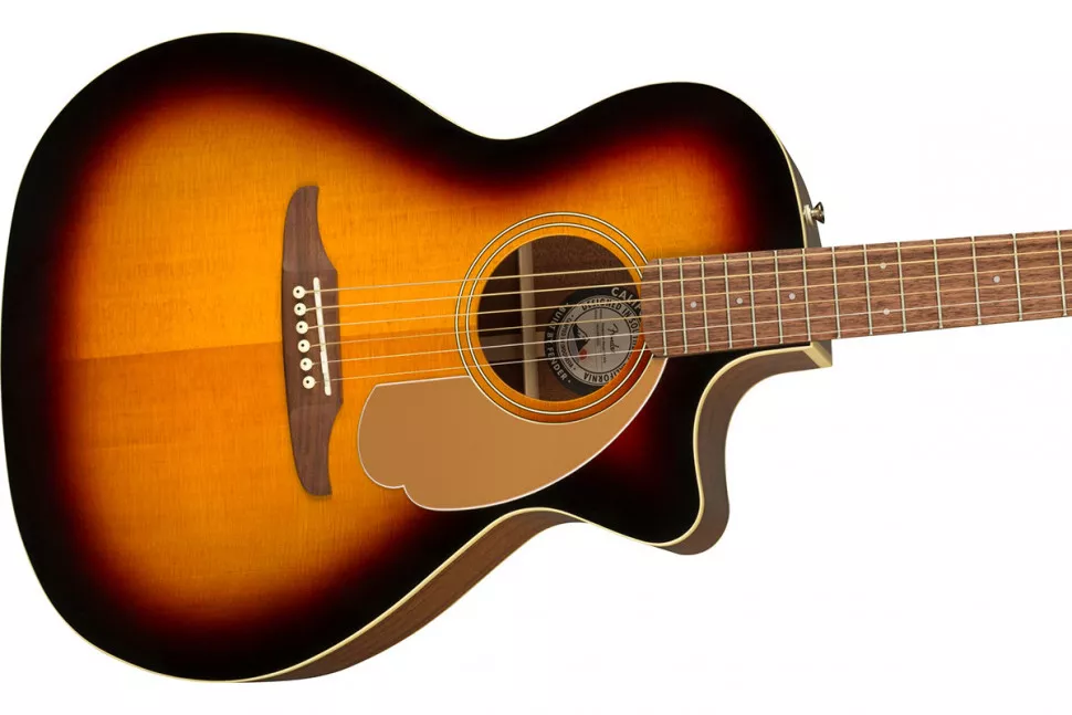 Fender NEWPORTER PLAYER WN SUNBURST