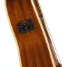 Fender NEWPORTER PLAYER WN SUNBURST