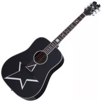 Schecter RS-1000 BUSKER ACOUSTIC
