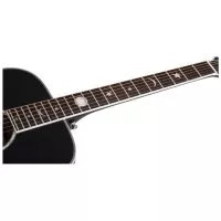 Schecter RS-1000 BUSKER ACOUSTIC