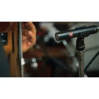 sE Electronics sE8 omni (P)
