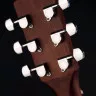 Cort Earth50 OP
