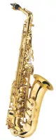 J. Michael AL500N (P)