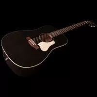 Art &amp; Lutherie Americana Faded Black Presys II