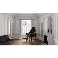 Steinway &amp; Sons S-155