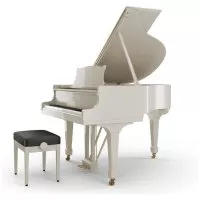 Steinway &amp; Sons S-155