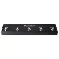 Blackstar FS-14 (Venue MkII)