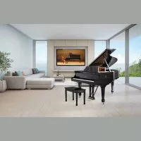 Steinway &amp; Sons SPIRIO O-180