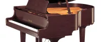 Yamaha GC1 PM