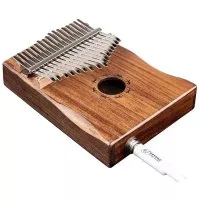 Ortega OKB1E