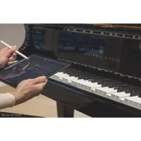 Steinway &amp; Sons SPIRO r B-211