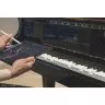Steinway & Sons SPIRO r B-211