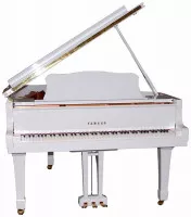 Yamaha GC1 PWH