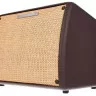 Ibanez T30II