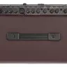 Ibanez T30II