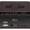 Ibanez T30II