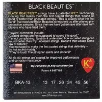 DR STRINGS BLACK BEAUTIES ACOUSTIC - MEDIUM (13-56)