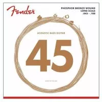 Fender 8060
