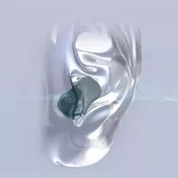 KZ Audio SKS