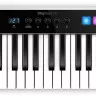 IK Multimedia IRIG KEYS IO49