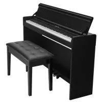 NUX WK-310-B