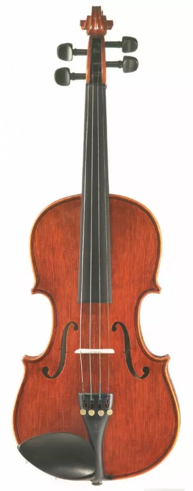 Stentor 1550/C