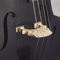 Stentor 1950LCBK