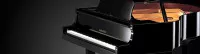 Yamaha GB1K PE