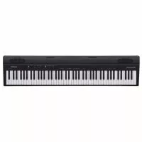 Roland GO-88P