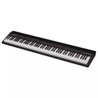 Roland GO-88P