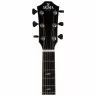 Sigma GACE-3-SB + (Fishman Flex Plus)