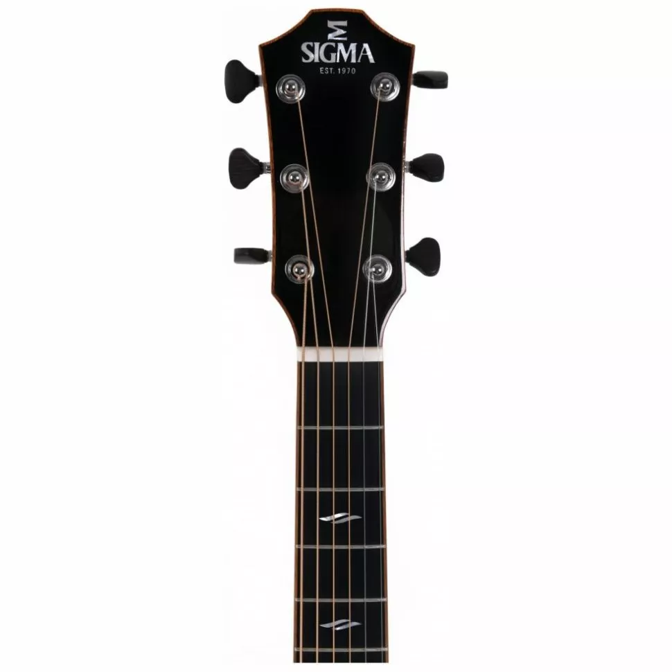 Sigma GACE-3-SB + (Fishman Flex Plus)
