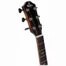 Sigma GACE-3-SB + (Fishman Flex Plus)