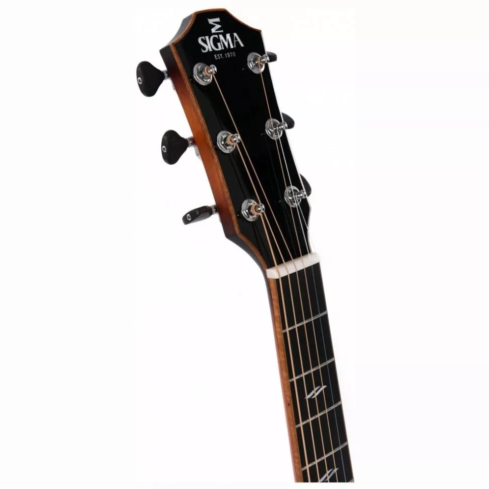 Sigma GACE-3-SB + (Fishman Flex Plus)