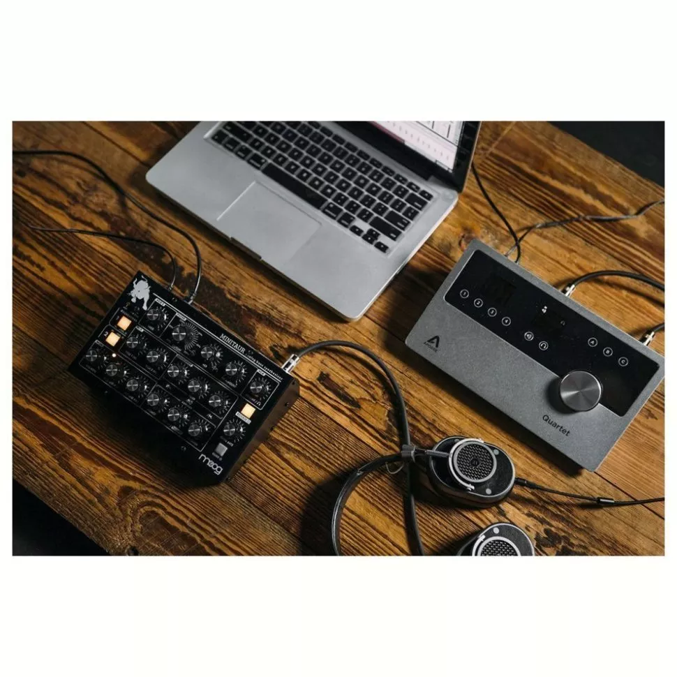 Moog Minitaur