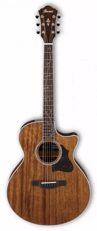 Ibanez AE245 NT